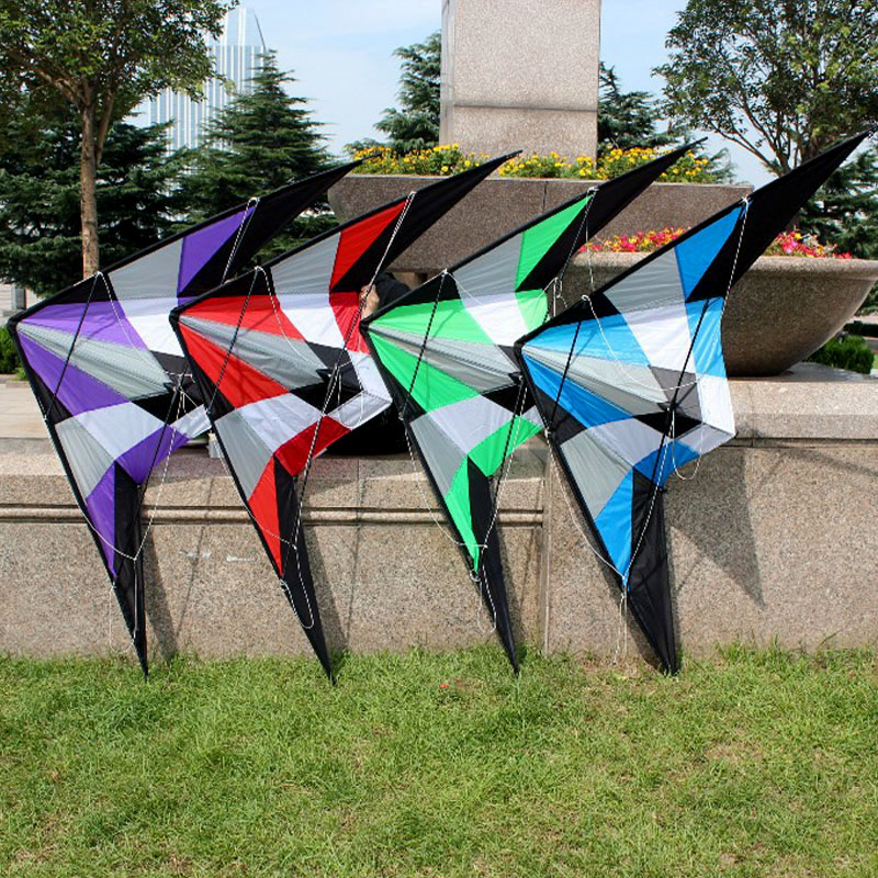 Professional outdoor Fun Sport - Kite Wind Outdoor recension och pris