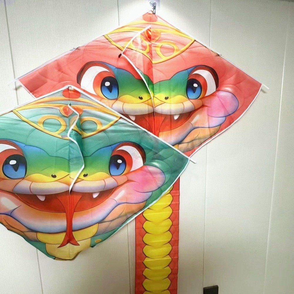 Easy to Fly 4.75M Snake Kite L - Kite Wind Outdoor recension och pris