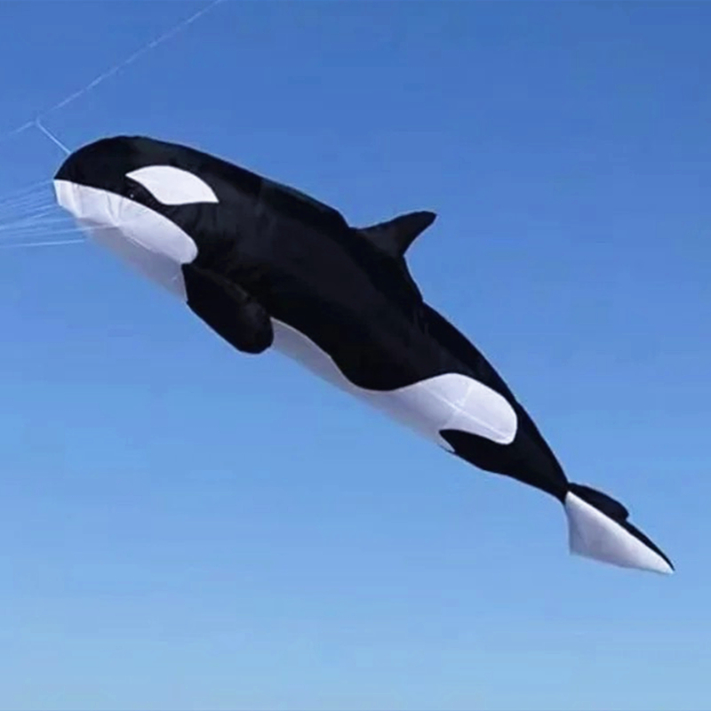 10m killer whale multi-color f - Kite Wind Outdoor recension och pris